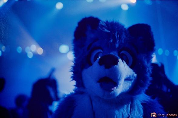 Nev, a blue fox fursuiter, is captured in a blue room in a blue world but he did not drive a blue corvette to the party. This photograph was captured by a corn loving pancake.