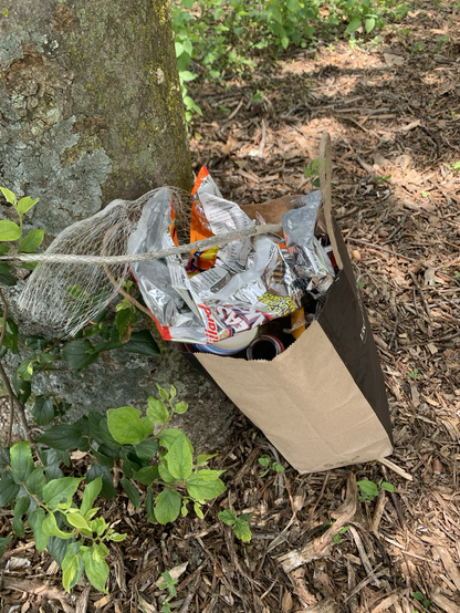 Paper bag with trash collected in the park.