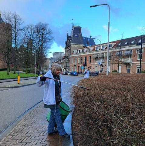 Persoon grijpt afval uit struiken vanaf de stoep.