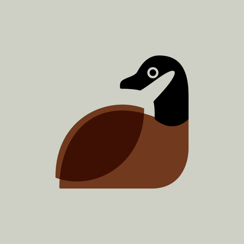 A simplified illustration of a cackling goose