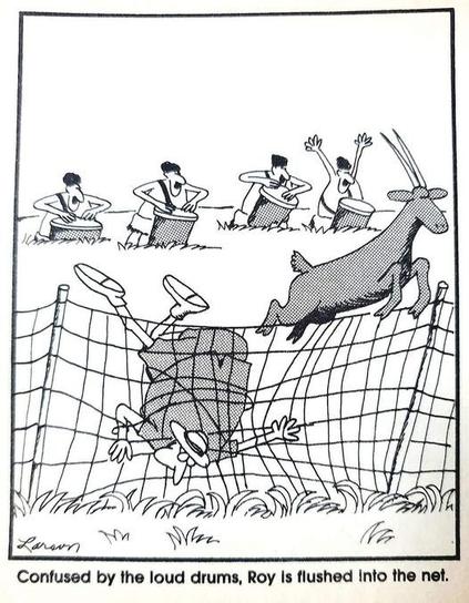 A springbok leaps a net, but a man in a safari suit and pith helmet get entangled. A line of people behind are banding drums. 

Confused by the loud drums, Roy is flushed into the net.
