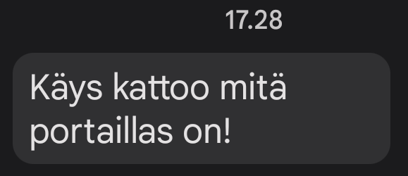 Kuvakaappi tekstarista, jossa lukee Käys kattoo mitä portaillas on!