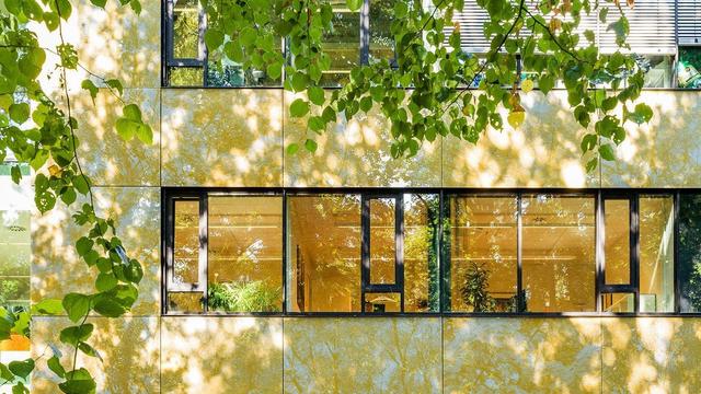 Photograph of the tree-patterned facade of the Max Planck Institute for Psycholinguistics in Nijmegen, the Netherlands.