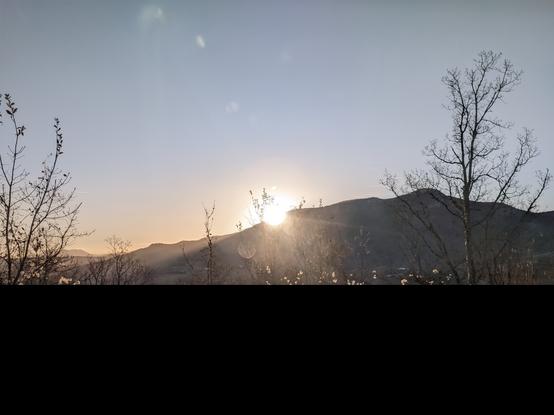 Lever de soleil juste au-dessus d'une colline près de Puivert, Aude. Des silhouettes d'arbres nus au premier plan.
