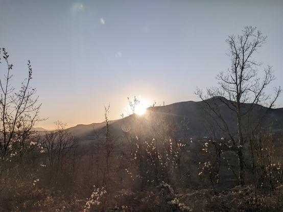 Lever de soleil juste au-dessus d'une colline près de Puivert, Aude. Des silhouettes d'arbres nus au premier plan.