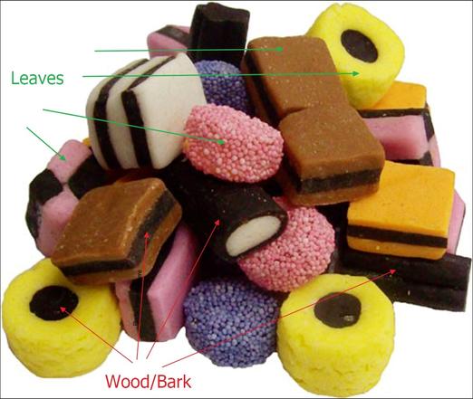 Picture of licorice mix pointing out which parts are wood or bark and which others are leaves.