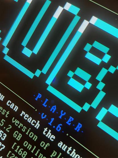Closeup on screen of Sony G420 CRT