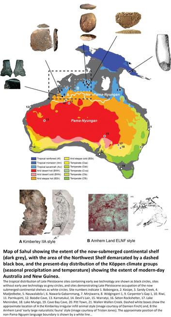 pictures of artifacts - indicated location of map  of Australia - Map of Sahul showing the extent of the now-submerged continental shelf (dark grey), with the area of the Northwest Shelf demarcated by a dashed black box, and the present-day distribution of the Köppen climate groups (seasonal precipitation and temperature) showing the extent of modern-day Australia and New Guinea. The tropical distribution of Late Pleistocene sites containing early axe technology are shown as black circles, sites without early axe technology as grey circles, and sites demonstrating Late Pleistocene occupation of the now submerged continental shelves as white circles.