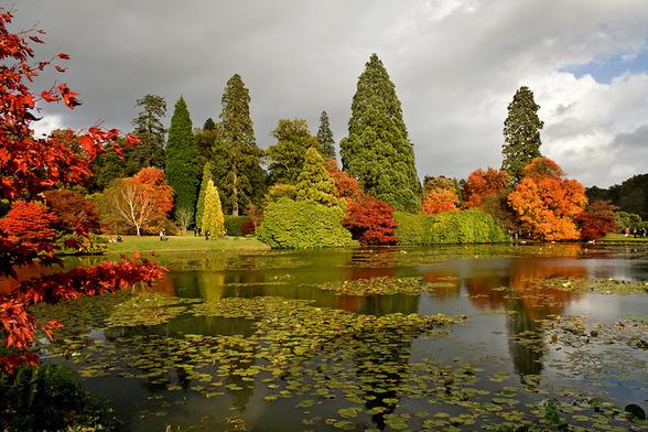 https://www.nationaltrust.org.uk/visit/sussex/sheffield-park-and-garden