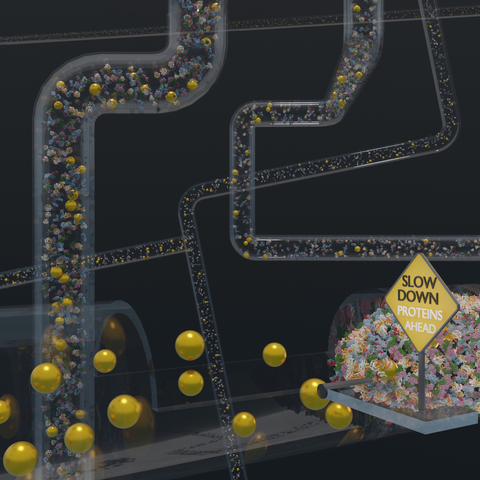 To illustrate the type of environments in which gold nanoparticles can be used, the nanoparticles approach densely packed regions of proteins (shown with a sign saying “slow down”).