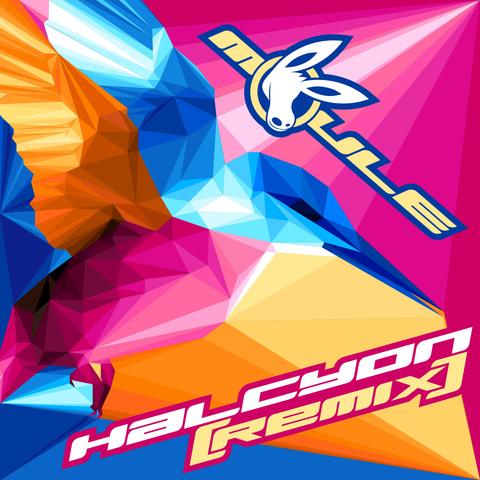 Picture of Halcyon (Remix)'s cover artwork, a remix of the original.

It's a geometric halcyon kingfisher with pink, orange, and blue colours inspired by pop art.

My logo and title are in an extended Y2K-style font.