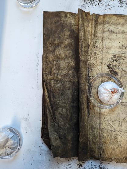 Back of a piece of beige parchment covered in black dirt. Iron gall ink annotation slightly visible in upper left corner.

Glass weight positioned on the right.