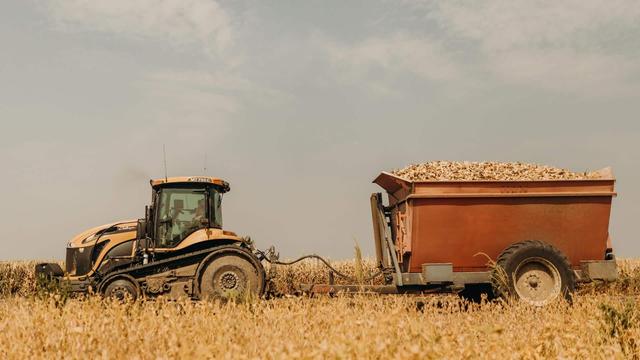 photo - tractor and trailer  collecting corn cobs