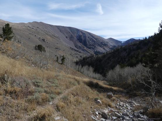 Looking back south along Timber Creek from the North Fork to the South Fork in High Schells Wilderness, Humboldt National Forest, Nevada.

A long V shaped valley, largely bare rocks on the left and with a thin covering of evergreen trees on the right and a patch of snow on the far end.