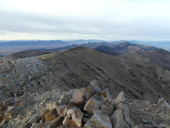Looking north from North Schell Peak, High Schells Wilderness, Humboldt-Toiyabe National Forest, Nevada.

Bare ridge winding north with rocks of white and light yellow. Spots of green do grow in some places.