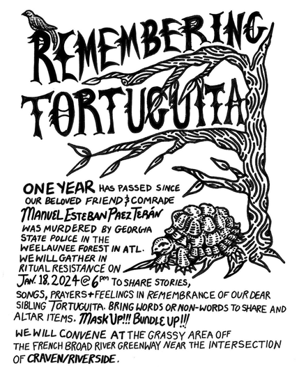 Line drawing in black of a tortoise at the base of a tree