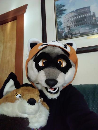 My raccoon fursuit wearing a red panda kigu and hugging a fox plushie