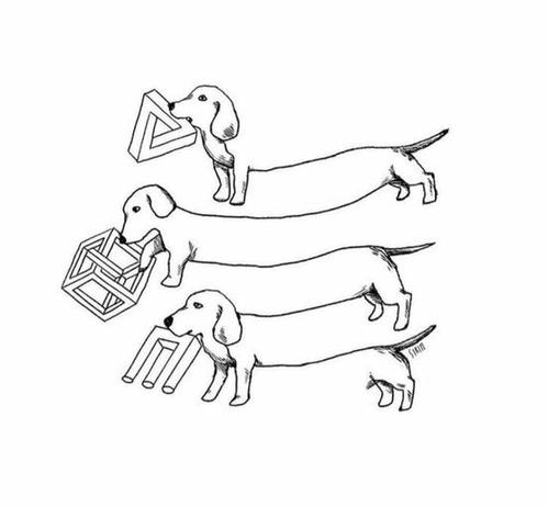 A drawing of three long sausage dogs, endlessly flowing into each other in the style of the artist Escher