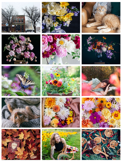 A grid of images consisting of three columns and five rows. 
Left to right, top row:
A wintry scene of a brick building framed by trees, with large snowflakes falling. A floral arrangement of yellow and blue flowers. An orange fluffy kitten making eye contact. 
2nd row: An arrangement of peonies and tulips on a black background. An arrangement of peonies on a white background. A rainbow colored floral arrangement on a dark background. 
3rd row: A yellow swallowtail butterfly in sharp focus. A garden arrangement. A woman reading amongst flowers. 
4th row: An orange fluffy kitten upside down making eye contact. A basket floral arrangement. A flatlay looking down at many flowers. 
5th row: A book of poetry amongst fall leaves. A woman sits in front of a row of flowers, smiling. A flatlay of holiday spices and ephemera.