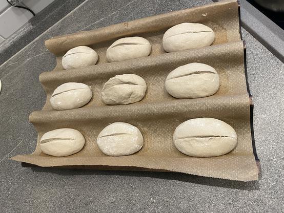 Unbaked loaves of bread on parchment paper.