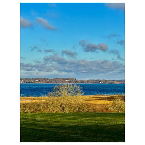 Blick über die blaue Ostsee bei sehr leicht bewölktem Himmel. Im Hintergrund Dänemark. Im Vordergrund eine grüne Wiese, ein blattloser Strauchbereich und ein Strand. Darauf die Schatten von Bäumen.