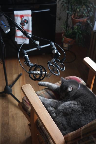 Stereo microphone pair in XY configuration placed above a sleeping cat.