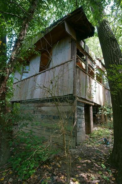 Zerfallene Hütte im Wald