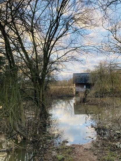 A bird watching hut in a water logged field.