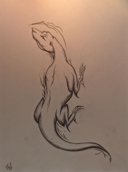 A dragon-esque salamander inspired by a medieval woodblock, sketched in graphite on white paper. The body lines along the spine of the animal are sigils, and various lines indicating movement along the outsides of its body are as well, terminating carefully with dots.
