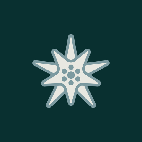 An illustration of an edelweiss flower outlined in blue against a dark green background