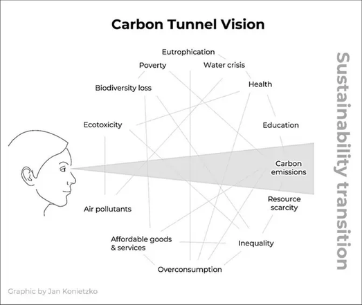 diagram of the "Carbon tunnel vision": a person looking at a web of many interconnected problems, but with a narrow field of view which excludes all the problems except carbon emissions.