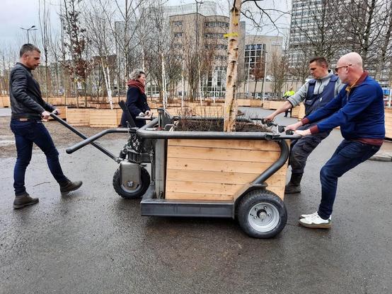 Bosk Leeuwarden in de winter met wagens waarmee bomen kunnen worden verplaatst