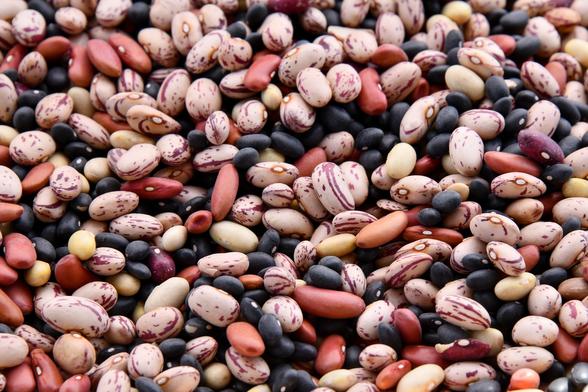A mix of bean varieties fill the frame. Picture from unsplash by Shelley Pauls
