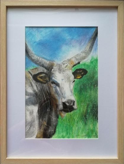 A framed pastel drawing of the head of a long-horned Italian bovine, gazing at the viewer.