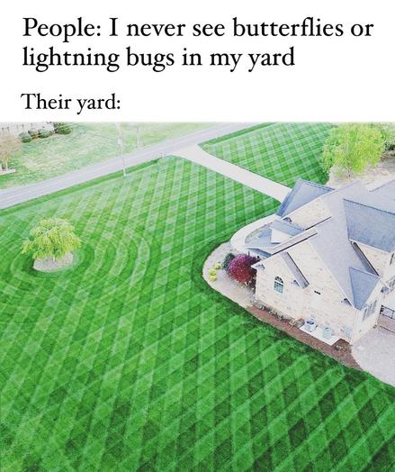 People: I never see butterflies or
lightning bugs in my yard
Their yard:
[image of a huge front yard that is only immaculate lawn.]