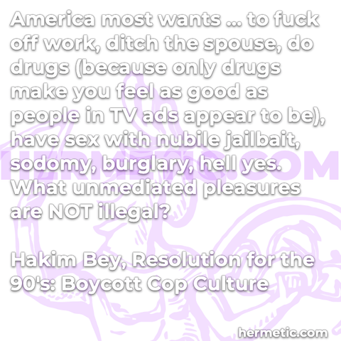 Hermetic Quote Bey Wilson Resolution Boycott Cop Culture America Wants Fuck Off Work Ditch Spouse Do Drugs Feel Good Tv Ads Sex Nubile Jailbait Sodomy Burglary Hell Yes Unmediated Pleasures Illegal