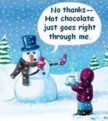 Cartoon meme with a small child offering a steaming cup of cocoa to a snowman. The snowman is wearing a hat, gloves, and a scarf, and has his hands up to fend off the offer. He says, "No thanks. Hot chocolate just goes right through me."