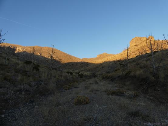Down in a wash that feeds into Sheep Pass Canyon in South Egan Range Wilderness, Nevada. Golden hour.

A wide flat gravel spreads rather like a road, but this is naturally made. The sides show short cuts from water erosion before rising in slopes. They are covered in sagebrush and dried grass with a sparse collection of burned trees. At the top of the right edge, there are stout pillars of rocks. The left side and ahead is higher with a line of rocks about midway.