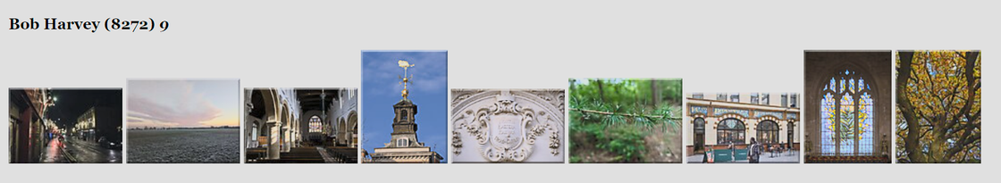 A strip of nine thumbnails of my chosen pictures