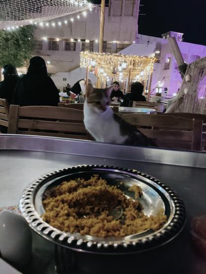 Na een tijdje is de kat op de stoel aan de andere kant van de tafel gaan zitten zodat hij het beter kon zien. Op de voorgrond een zilveren schaal met een rijstgerecht