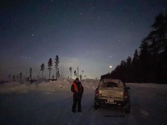 Owl survey volunteer wearing a high visibility vest and winter gear. 
 She is standing beside a snow-covered SUV on a snow-covered road.  Behind her are scraggly tall conifers on one side, this forest on the other and behind her is a starry night sky combined with the glowing light of a nearby town.
