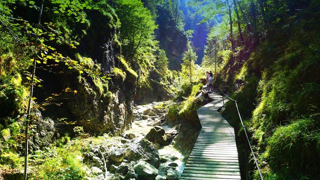 Steg durch die Grießbachklamm. Bewachsene Felsen links und rechts des Stegs.