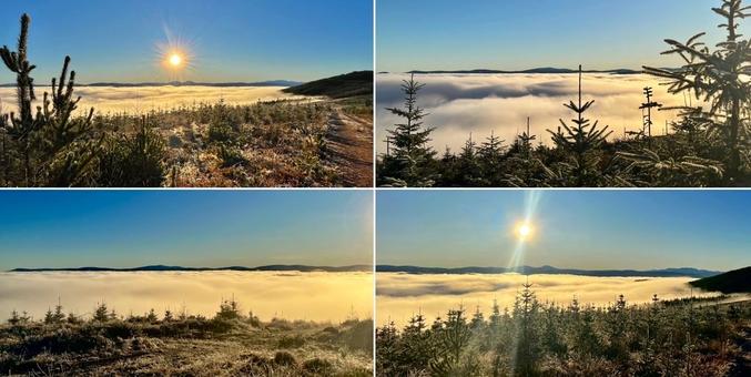 Four photo collage: shots taken while walking above the clouds, on a day of freezing fog at lower altitude. Frost pines and bushes in the foreground; looking over blankets of white clouds resembling cotton wool; across to wintry blue skies, sun and the Cairngorm mountains.