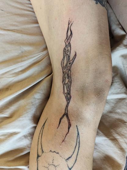 The focus is on a tattoo on a person's leg, situated on the outside of the knee above another tattoo (of a Mnervis bull, the horns of which are visible). The tattoo is a stylized segment of a cholla skeleton, which looks somewhat like a branch with a bunch of holes throughout it. Through some of the holes other holes are visible, though the tattoo isn't yet shaded. Small, tiny lines demonstrating texture appear throughout the tattoo, and on either end (it's oriented vertically) the tattoo culminates in a fork that trails into a spiky tendril.
