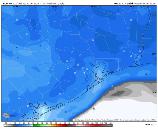 European model for wind gusts at 8 am CT on Sunday.