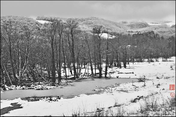 Format paysage
Dans un vaste paysage de montagne couvertes de forêts, au premier plan, en diagonale montant de gauche à droite, le bord d'un chemin couvert de neige et frangé de branchettes nues et raides, en contrebas dans l'étendue blanche, un petit étang gelé bordé sur son arrière par un groupe d'arbres dont certains partiellement tombés, sur la gauche. En s'éloignant, plan par plan, à partir du milieu de la hauteur de l'image, d'autres lignes d'arbres, de gauche à droites étagées jusqu'à la base presque horizontale d'une pente entièrement boisée de résineux, sapins ou pins, formant des ondulations sombres jusqu'à une ligne claire très enneigée au sommet. La dernière partie de l'image, tout en haut, environ 1/5 de la hauteur totale, est occupée par un ciel nuageux d'où se détachent vaguement, sur la droite, des parties plus pâles.