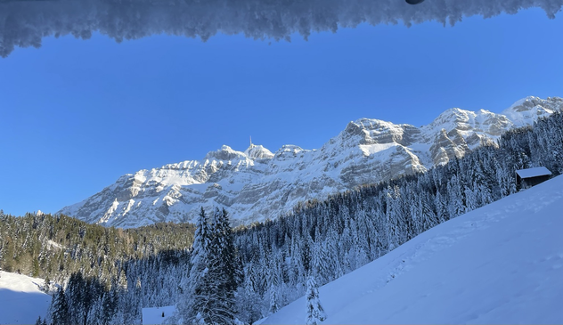 Snowy mountains and forest