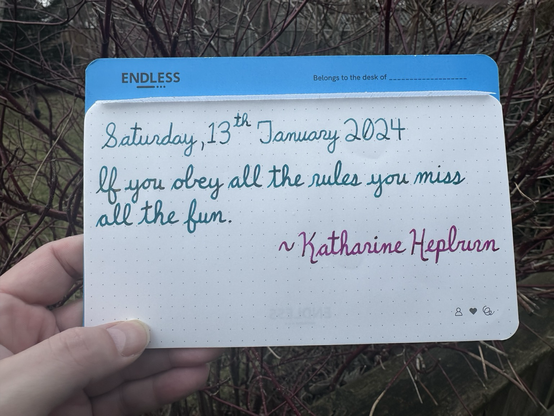 A pen quote of Katharine Hepburn that reads, “If you obey all the rules you miss all the fun.”  Written in Pelikan Edelstein Aquamarine, J. Herbin Emerauld de Chivor & Pilot Iroshizuku Yama-Budo.