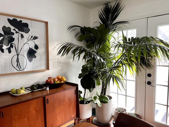 Photograph of a dining room with white walls, a midcentury oak sideboard below a large framed painting of flowers, and several ceiling-height tropical plants in a corner next to French doors.