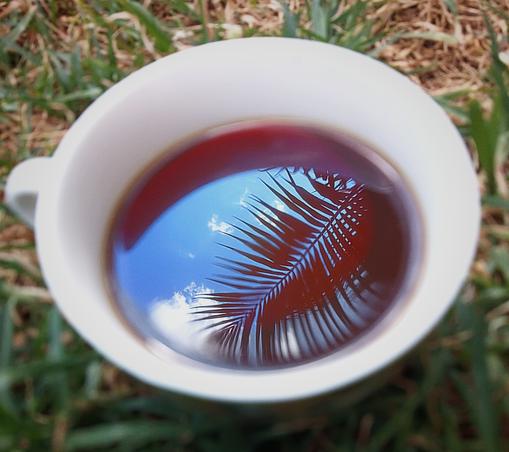 Café ☕